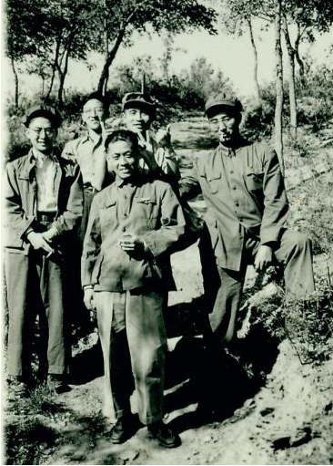 图片1.png
