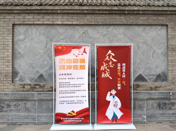 图片6